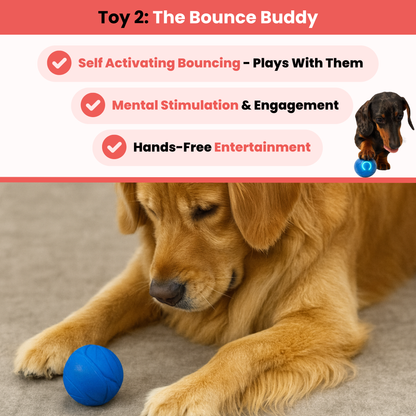 Ultimate Stimulation Bundle