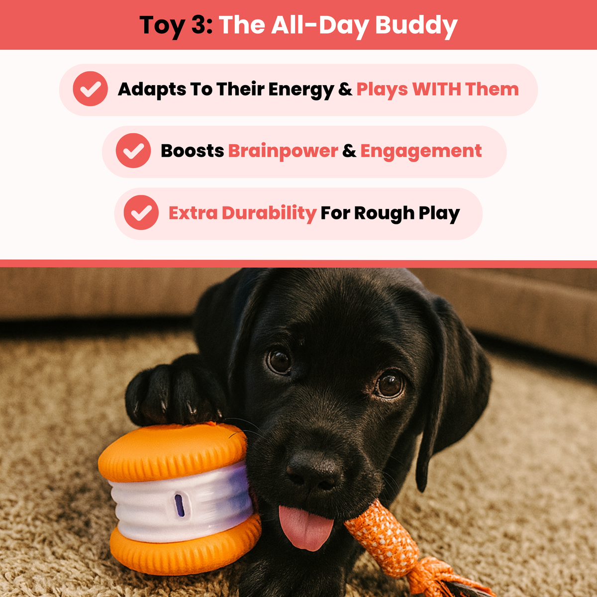 Ultimate Stimulation Bundle