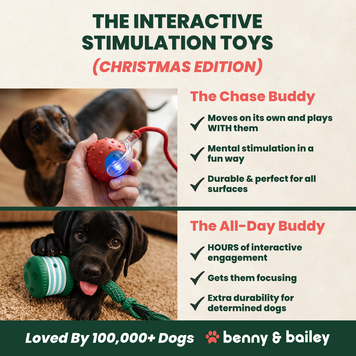 Ultimate Christmas Box for Dogs