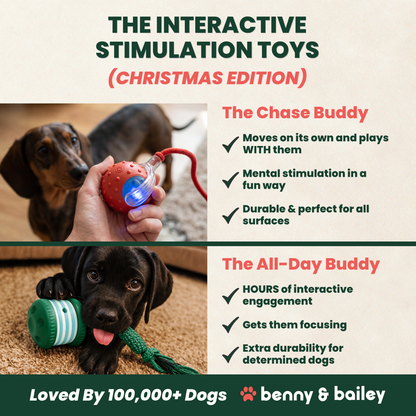 Ultimate Christmas Box for Dogs