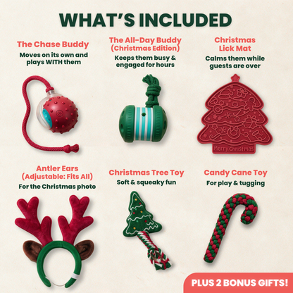 Ultimate Christmas Box for Dogs