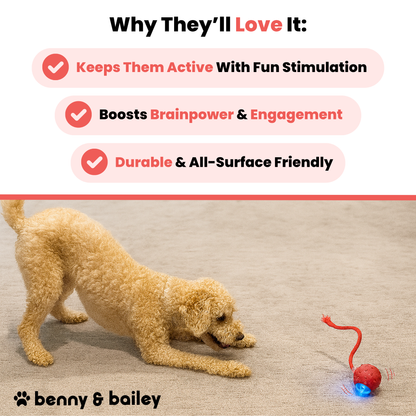 Interactive Stimulation Toy