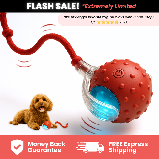 Interactive Stimulation Toy