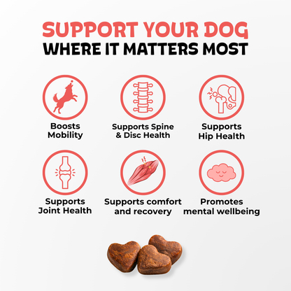 Daily Mobility Chews