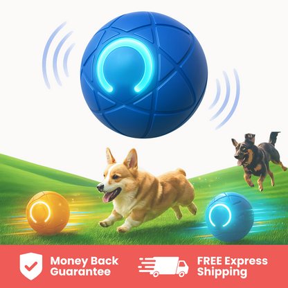 Bounce Buddy